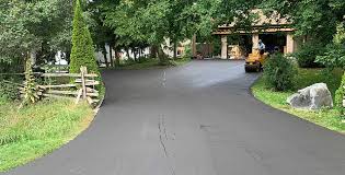 Best Driveway Pressure Washing  in Patrick Springs, VA